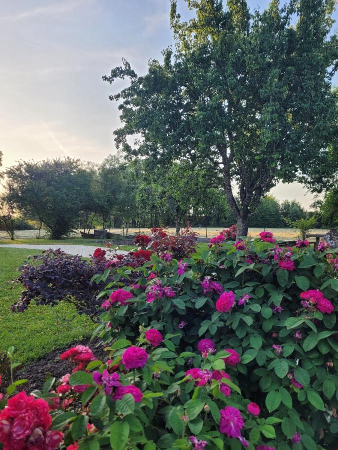 L'Atelier 7 Bed & Breakfast Saintes Luaran gambar